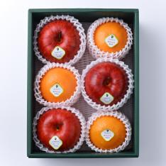 【最適な時期に収穫し、順次発送予定】紅まどんな・サンふじ詰合せ