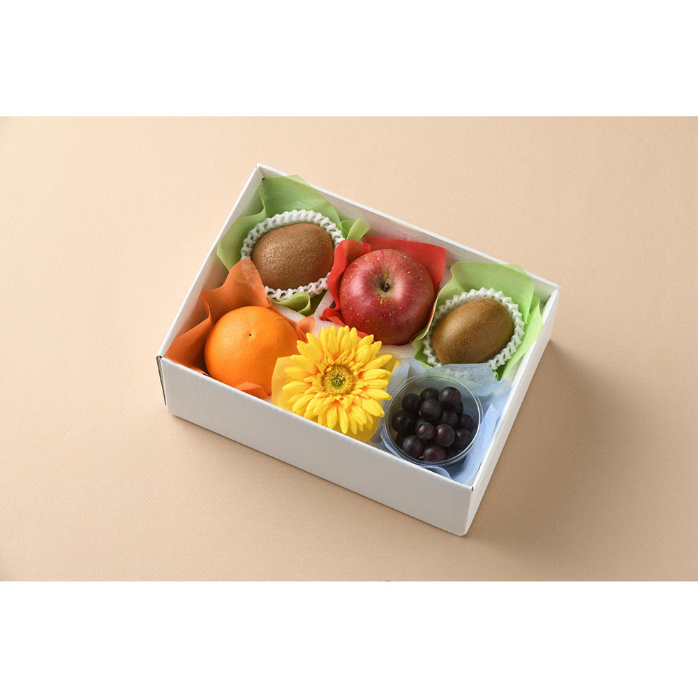 【父の日】果物詰合せ6マス（父の日BOX）