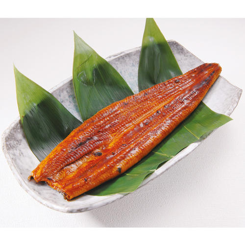 愛知県産うなぎ蒲焼（3枚入）