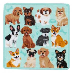 フェイラー ルック！ マイドッグ マイキャット ゲストタオル セット