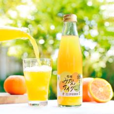 有田みかんサイダー8本セット