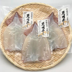 青森県産　1本釣りスルメイカ天日干しセット