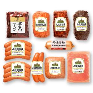 ハリネズミ育成セット（中古品）ハム吉さま専用 くるまでGO！ まちなみセット - ポリエム やさしい知育ブロック