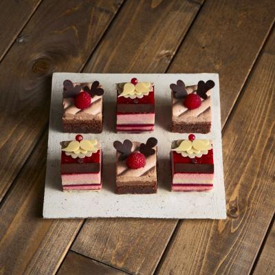 【クリスマス】プラントベース　プティフール