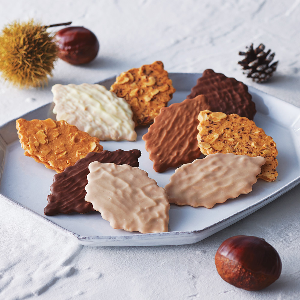 🎁 高島屋で人気！モロゾフの『クリスマス限定スイーツギフト』で特別