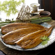 ＜愛知・一色町 三河水産加工＞メス鰻 艶鰻（えんまん）愛知三河一色産長蒲焼（3本入）