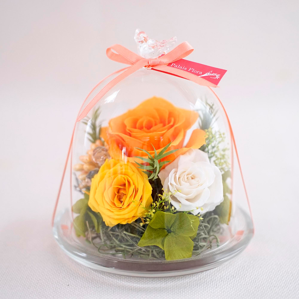 【母の日】バードドームアレンジ
