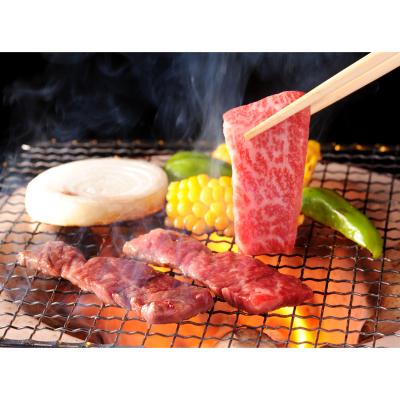 ＜飛騨高山・藤瀬肉牛農場＞飛騨牛肩・モモ焼肉用詰合せ