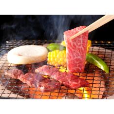 ＜飛騨高山・藤瀬肉牛農場＞飛騨牛肩・モモ焼肉用詰合せ