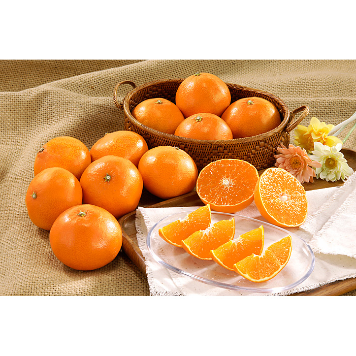 紅まどんな2.4kg【最適な時期に収穫し、順次発送予定】