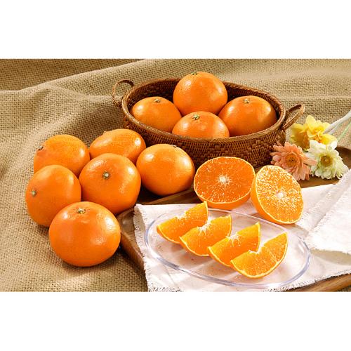 紅まどんな2.4kg【最適な時期に収穫し、順次発送予定】