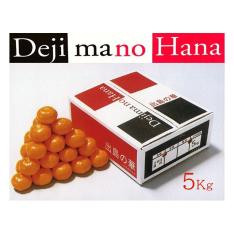 ＜JAながさき西海＞糖度14度 出島の華みかん 5Kg【最適な時期に収穫し、順次発送予定】