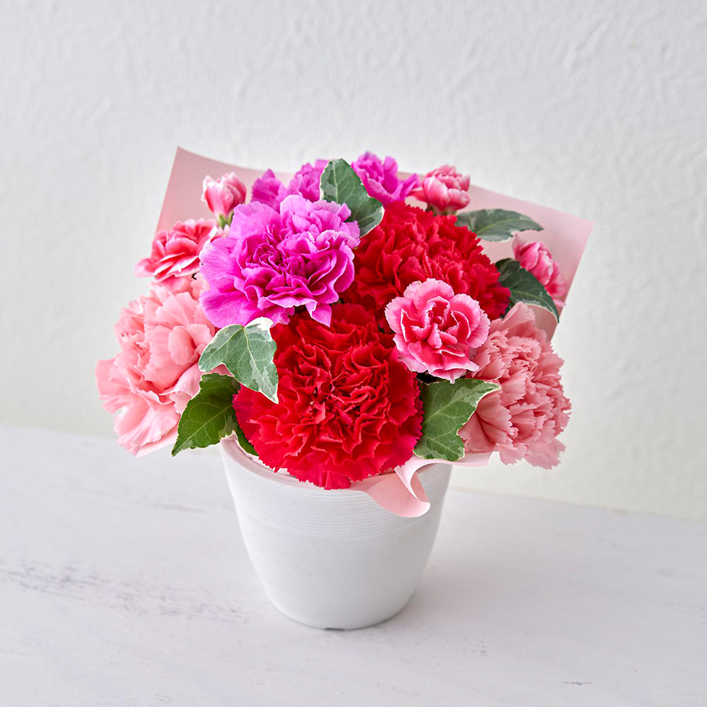 【母の日】生花 アレンジメント「ロゼボヌール」