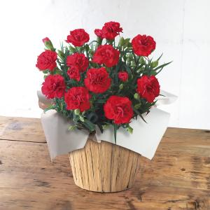 生花 花束「白バラ108本」 | 商品詳細 | 高島屋オンラインストア