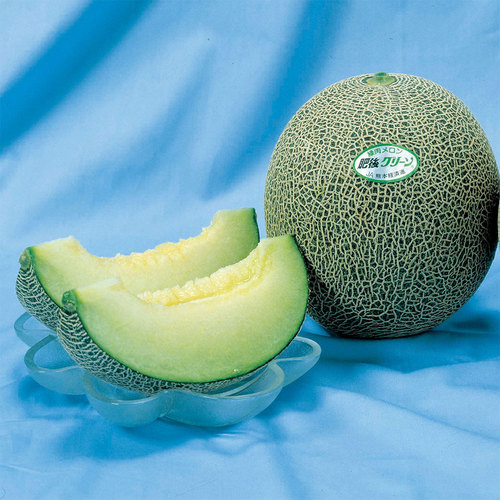 【父の日】＜西澤商店＞熊本県産肥後グリーンメロン1玉