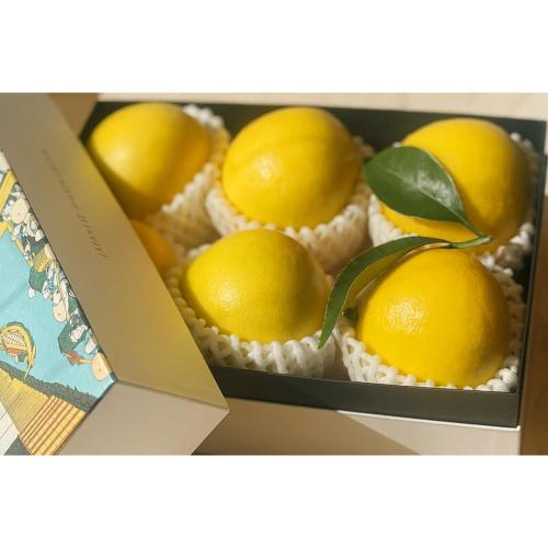 【父の日】「日向夏」化粧箱（父の日カード付）