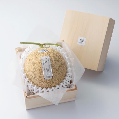 【最適な時期に収穫し、順次発送予定】〈THE KAEN〉静岡県産クラウンメロン「富士」