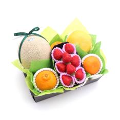 ＜マスクメロン・いちご・せとか・デコポン＞旬のフルーツギフト1A