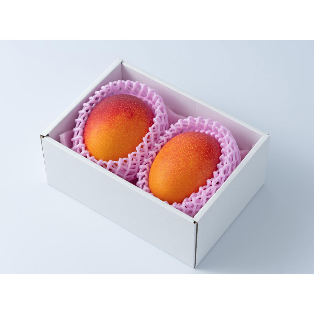 【父の日】宮崎産完熟マンゴー２玉