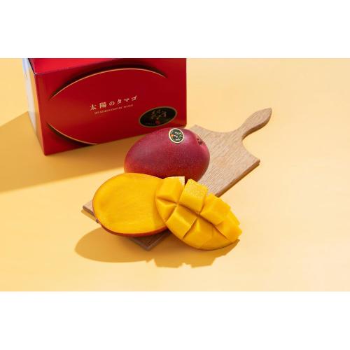 【父の日】宮崎産完熟マンゴー「太陽のタマゴ」1玉