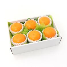 せとか5～6個（化粧箱）