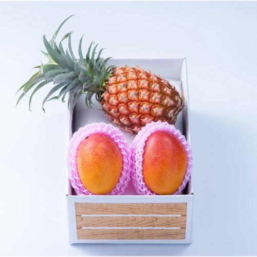 【父の日】旬のフルーツセットH14