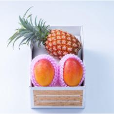 【父の日】旬のフルーツセットH14