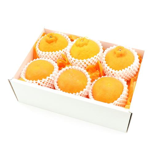 せとか&デコポン(化粧箱)
