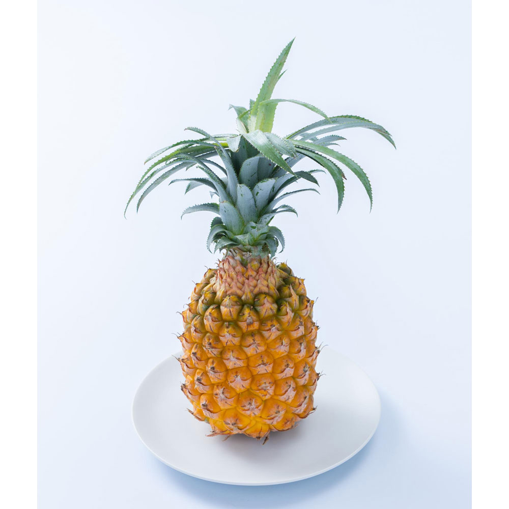 【父の日】沖縄産スナックパイン2.5kg(2～4玉)