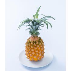【父の日】沖縄産スナックパイン2.5kg(2～4玉)