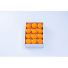 【父の日】佐賀産ハウスみかん1kg