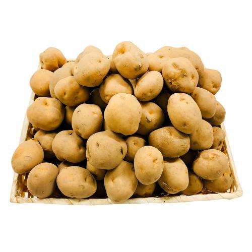 北海道産じゃがいも（約10kg）