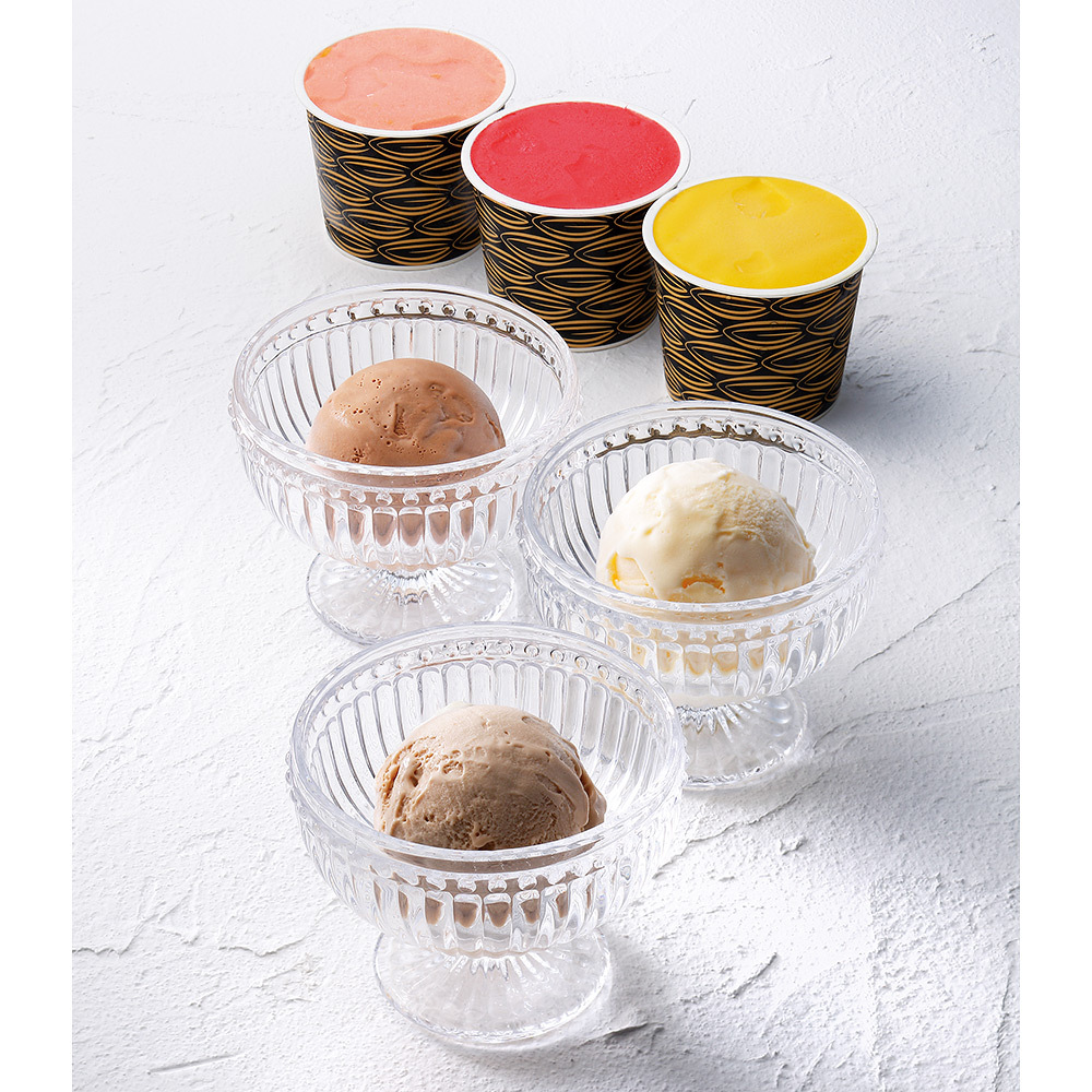 チョコレート専門店 こだわりの チョコレート アイスクリーム 10種類 詰合せ 各95ml×10個 ギフト カップアイス チョコレート チョコアイス ショコラ 濃厚  スイーツ  父の日 プレゼント ご褒美 お取り寄せ 食べ比べ 専門店 お中元
