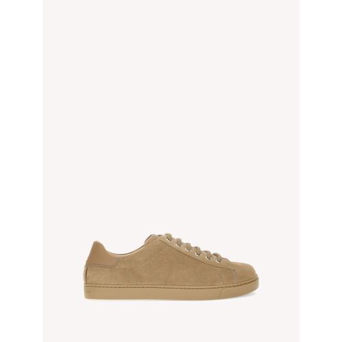 LOW TOP