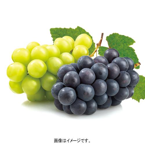 〈mebuki farm〉山梨県産 巨峰（種なし）＆シャインマスカット食比べ