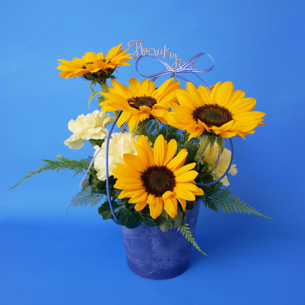 【父の日】生花アレンジメント「Sunny Blue Arrangement」