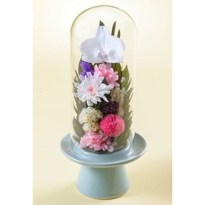 Belles Fleurs Tokyo（ベル・フルール） | 菊 | リビング・ホビー