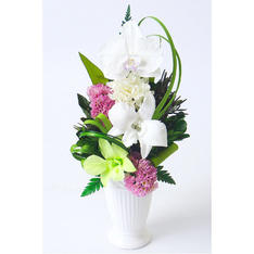 仏花　颯花（胡蝶蘭と洋蘭）