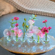 ファレノプシスリップピンク6W