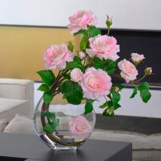 プリマローズpk-3L