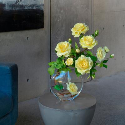 EMILIO ROBBA（エミリオ・ロバ） | ローズ | リビング・ホビー