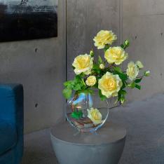 プリマローズye-3L