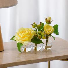 プリマローズye-3W