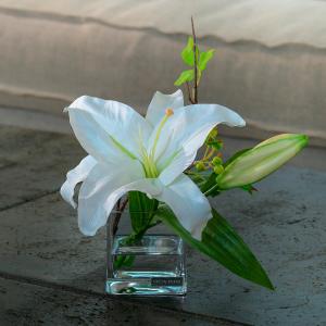 カサブランカ3L | 商品詳細 | 高島屋オンラインストア