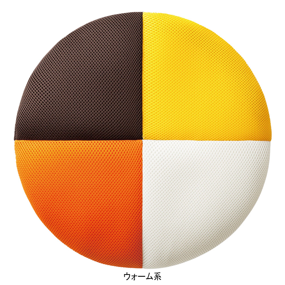 機能クッション RAQDA（ラクダ）