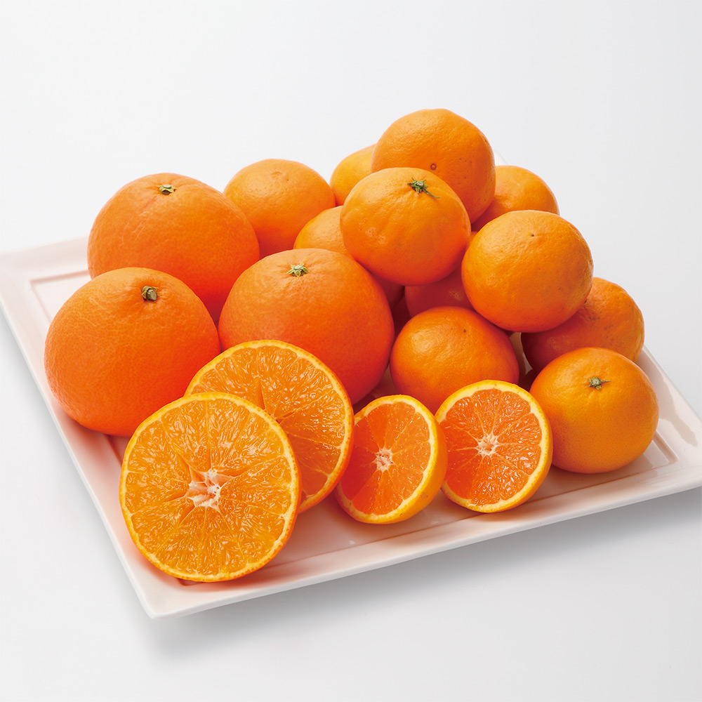 愛媛 紅まどんなとはれひめ 商品詳細 高島屋オンラインストア