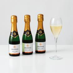 〈フランス〉スパークリングワイン24本セット（200ml）