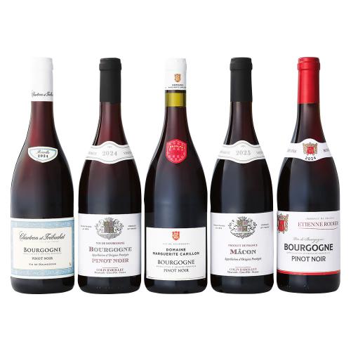 〈フランス〉優しい果実味を楽しむブルゴーニュ赤ワイン5本セット