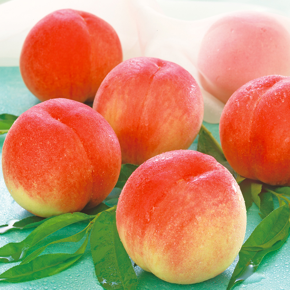 山梨県産 日川白鳳 | 商品詳細 | 高島屋オンラインストア 