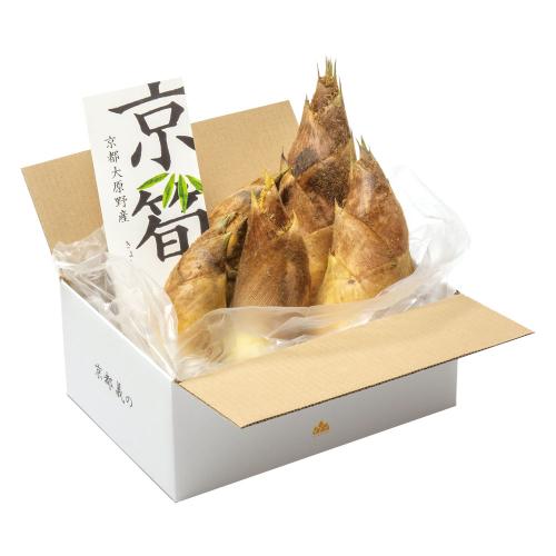 京都・大原野産 朝掘り新筍　京筍